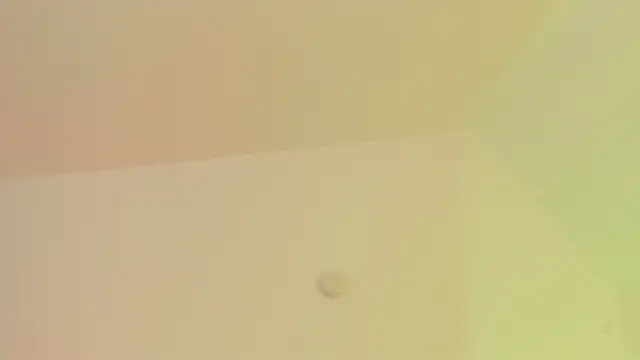 Taylormaxwell online show from 11/28/25, 08:42