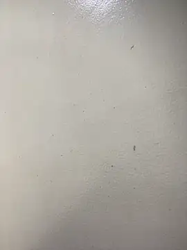 Issa Santana online show from 02/21/26, 07:16