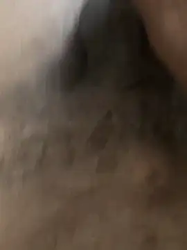 delhi gigolo 5in online show from 02/12/26, 03:50