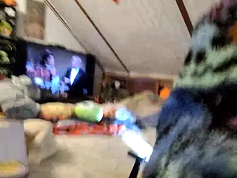 thejuicybacon online show from 11/25/25, 11:10