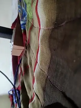 Telugu person12 online show from 02/16/26, 09:02