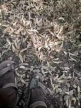 Telugu person12 online show from 01/07/26, 08:52