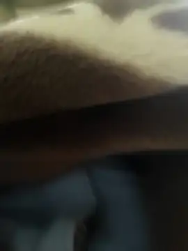 Telugu person12 online show from 12/15/25, 12:00