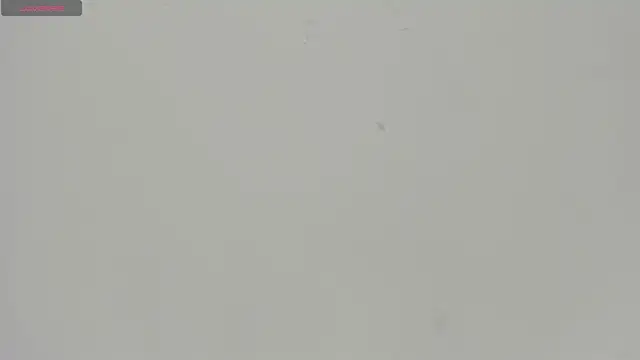 Snapshot of Sophia_Ebony chatting on 05/11/26, 12:17 Sophia Ebony online show from 05/11/26, 12:17