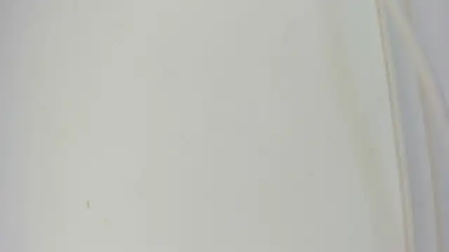Snapshot of Sophia_Ebony chatting on 05/21/26, 12:13 Sophia Ebony online show from 05/21/26, 12:13