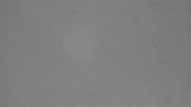 Sophia Ebony online show from 02/19/26, 12:02