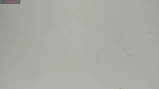 Snapshot of Sophia_Ebony chatting on 06/22/26, 12:24 Sophia Ebony online show from 06/22/26, 12:24