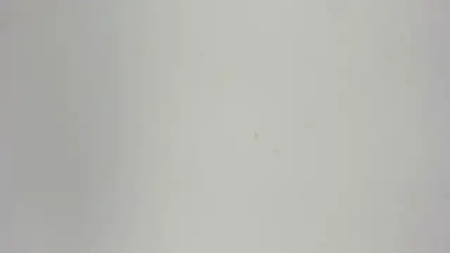 Snapshot of Sophia_Ebony chatting on 05/15/26, 12:14 Sophia Ebony online show from 05/15/26, 12:14