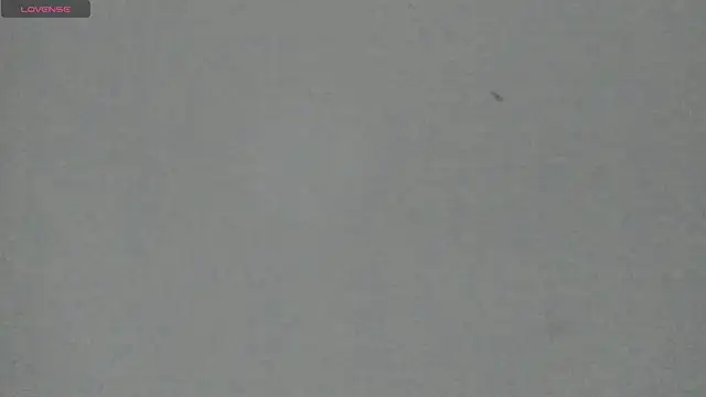 Snapshot of Sophia_Ebony chatting on 05/05/26, 12:08 Sophia Ebony online show from 05/05/26, 12:08