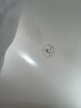 Desire-XOXOX online show from 09/25/25, 10:43