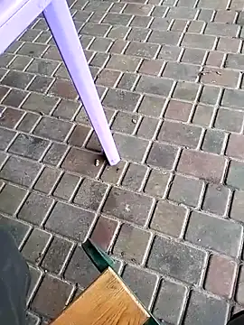 Odecca11 online show from 11/23/25, 08:24