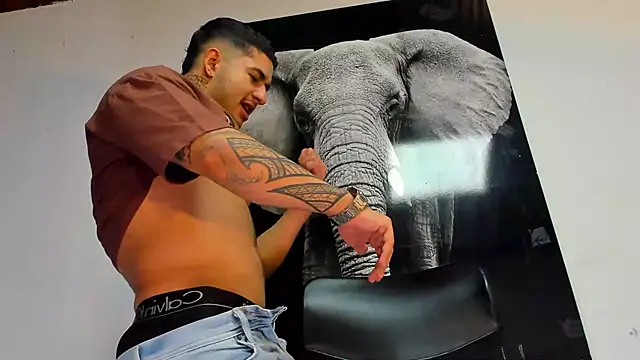 king falconer online show from 10/29/25, 02:54