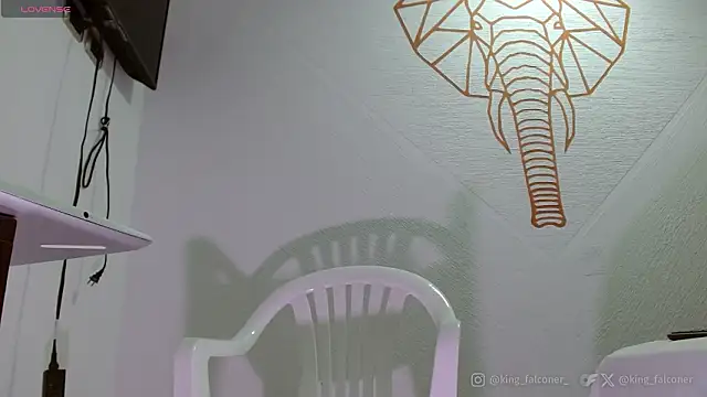 Snapshot of king_falconer chatting on 02/21/26, 05:04 king falconer online show from 02/21/26, 05:04