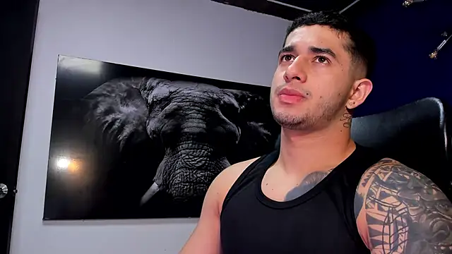 king falconer online show from 12/16/25, 12:48