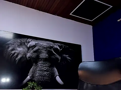 Snapshot of king_falconer chatting on 01/15/26, 02:15 king falconer online show from 01/15/26, 02:15