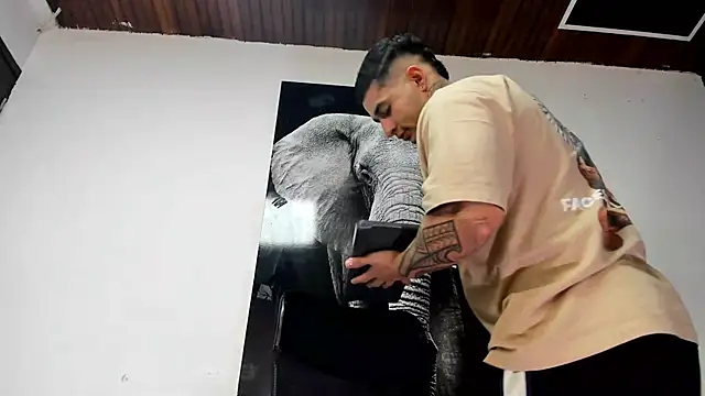 king falconer online show from 10/25/25, 03:49