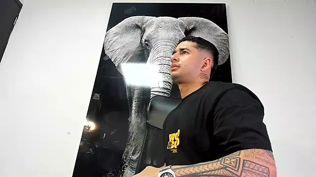 king falconer online show from 10/26/25, 01:39