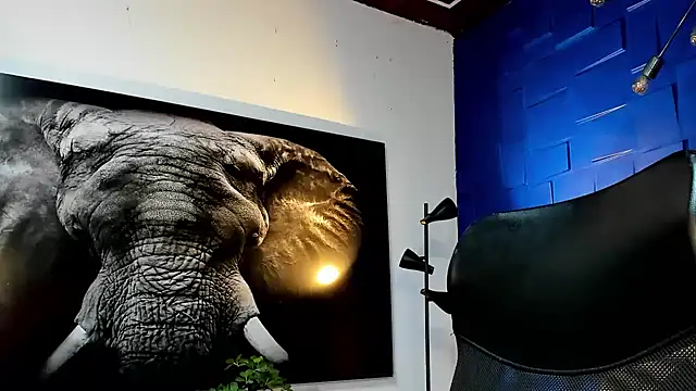 king falconer online show from 11/29/25, 11:16