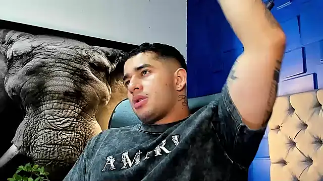 king falconer online show from 11/25/25, 01:28