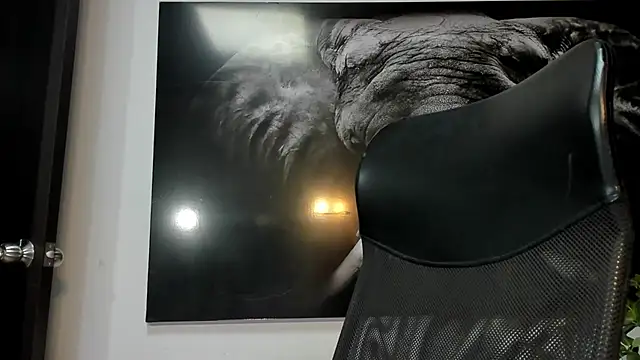 king falconer online show from 12/05/25, 02:10