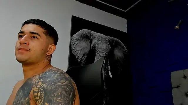 king falconer online show from 11/18/25, 01:32