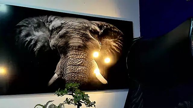 king falconer online show from 11/27/25, 12:55