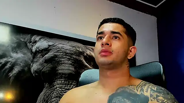 king falconer online show from 11/30/25, 11:22