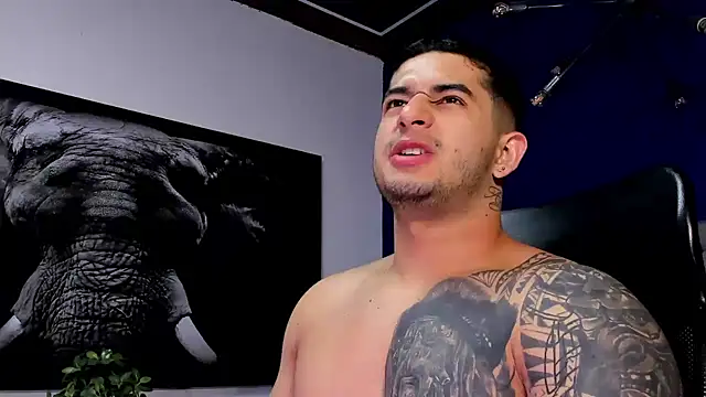 king falconer online show from 12/18/25, 01:11