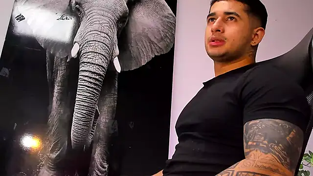 king falconer online show from 10/28/25, 03:18