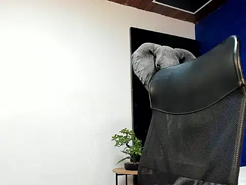 king falconer online show from 11/05/25, 06:05