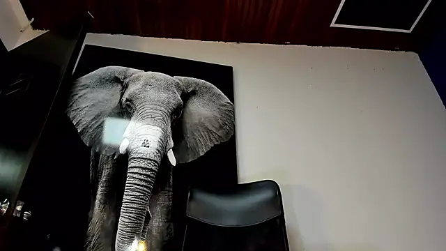 king falconer online show from 11/02/25, 12:37