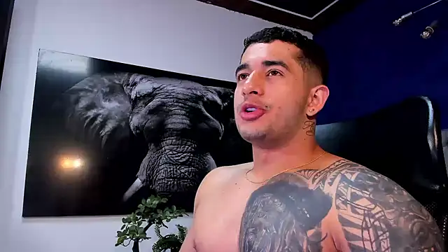 Snapshot of king_falconer chatting on 01/11/26, 03:46 king falconer online show from 01/11/26, 03:46