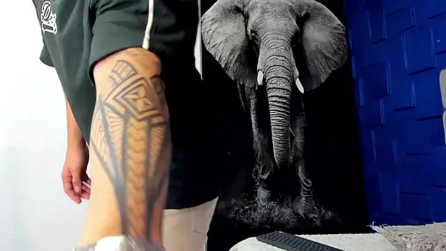 king falconer online show from 11/03/25, 12:49