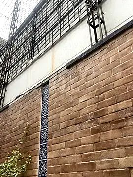 CharlesBrown  online show from 09/25/25, 08:48