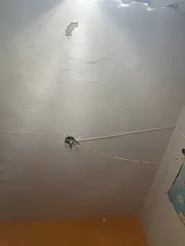 freedmar online show from 04/02/26, 02:24