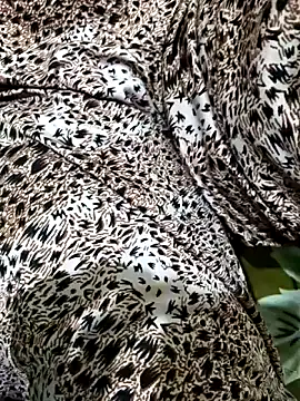 Dassing strip couple online show from 04/05/26, 10:33