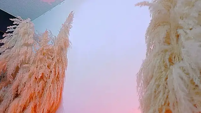 JulietaDavis online show from 02/19/26, 08:11