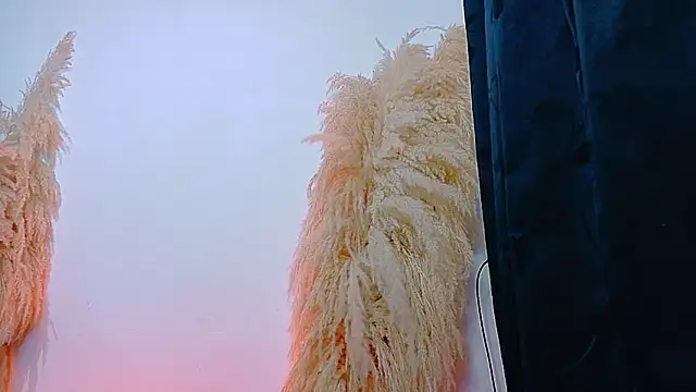 JulietaDavis online show from 02/22/26, 09:33