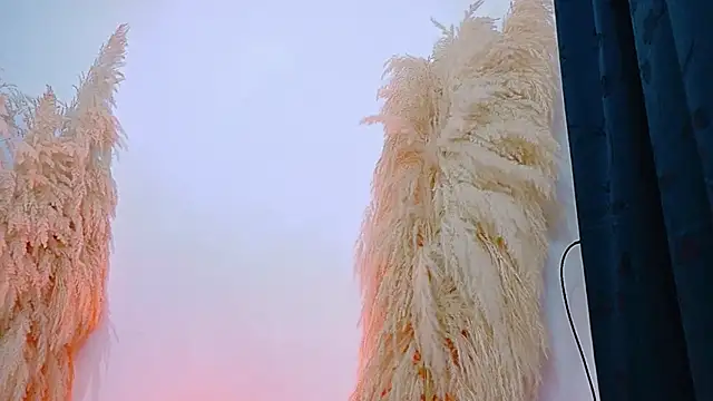 JulietaDavis online show from 02/20/26, 09:33