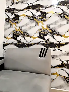 Snapshot of Hiroshi_Shen chatting on 12/04/25, 12:42 Hiroshi Shen online show from 12/04/25, 12:42