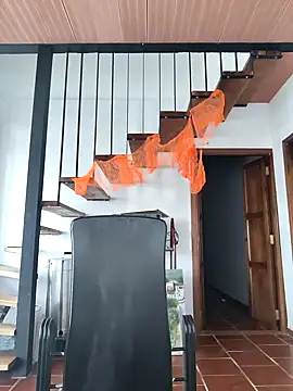 Snapshot of Hiroshi_Shen chatting on 11/02/25, 11:59 Hiroshi Shen online show from 11/02/25, 11:59