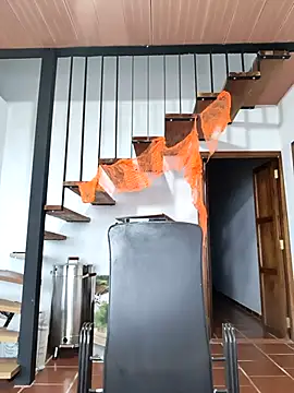 Snapshot of Hiroshi_Shen chatting on 11/05/25, 11:24 Hiroshi Shen online show from 11/05/25, 11:24