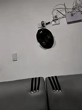 Snapshot of Hiroshi_Shen chatting on 11/26/25, 10:48 Hiroshi Shen online show from 11/26/25, 10:48