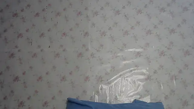Snapshot of Roselingalvis13 chatting on 07/11/26, 02:34 Roselingalvis13 online show from 07/11/26, 02:34