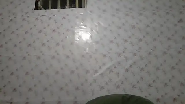 Roselingalvis13 online show from 03/04/26, 02:52