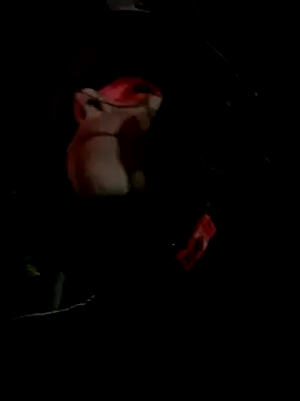 juliie star online show from 11/15/25, 12:47