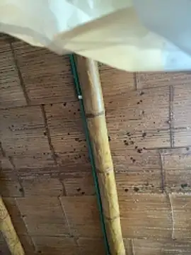 juliie star online show from 10/16/25, 12:24