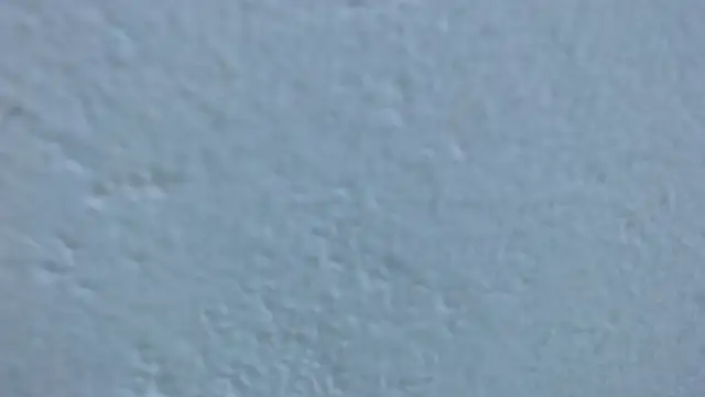 carolina zabala 19 online show from 03/23/26, 07:36