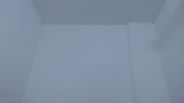 carolina zabala 19 online show from 12/17/25, 07:19