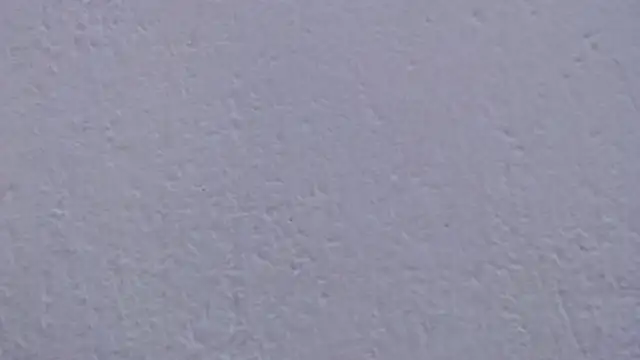 carolina zabala 19 online show from 04/04/26, 08:48